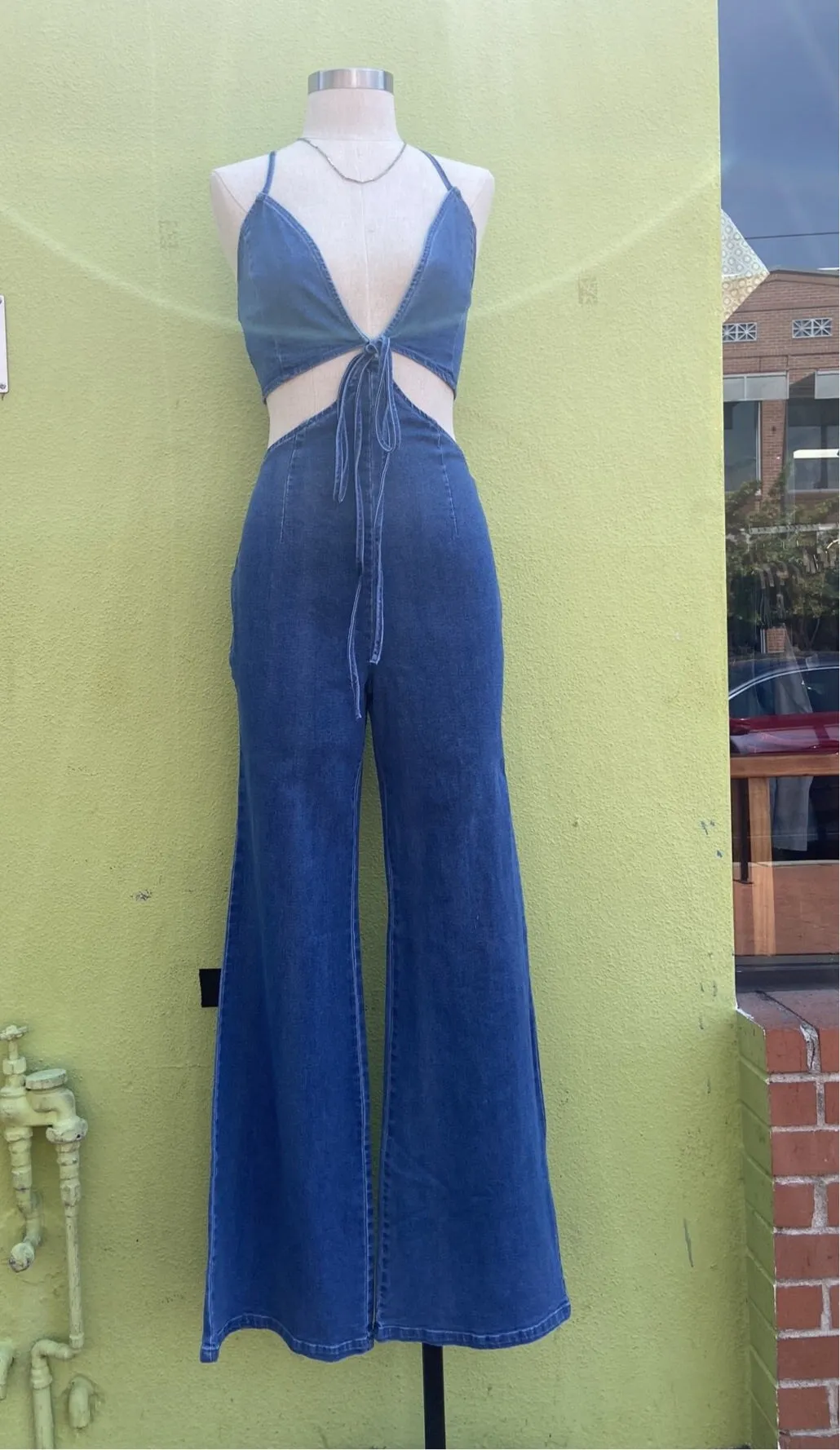 Denim Dream Jumpsuit