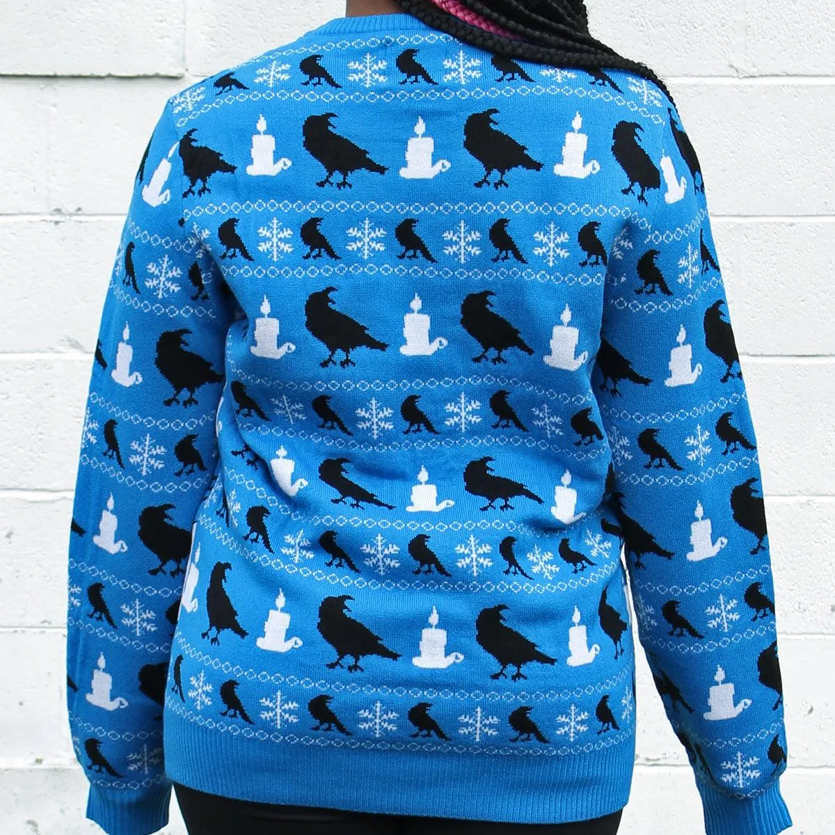 Greetings From the North Poe (Blue) / Knit Sweater