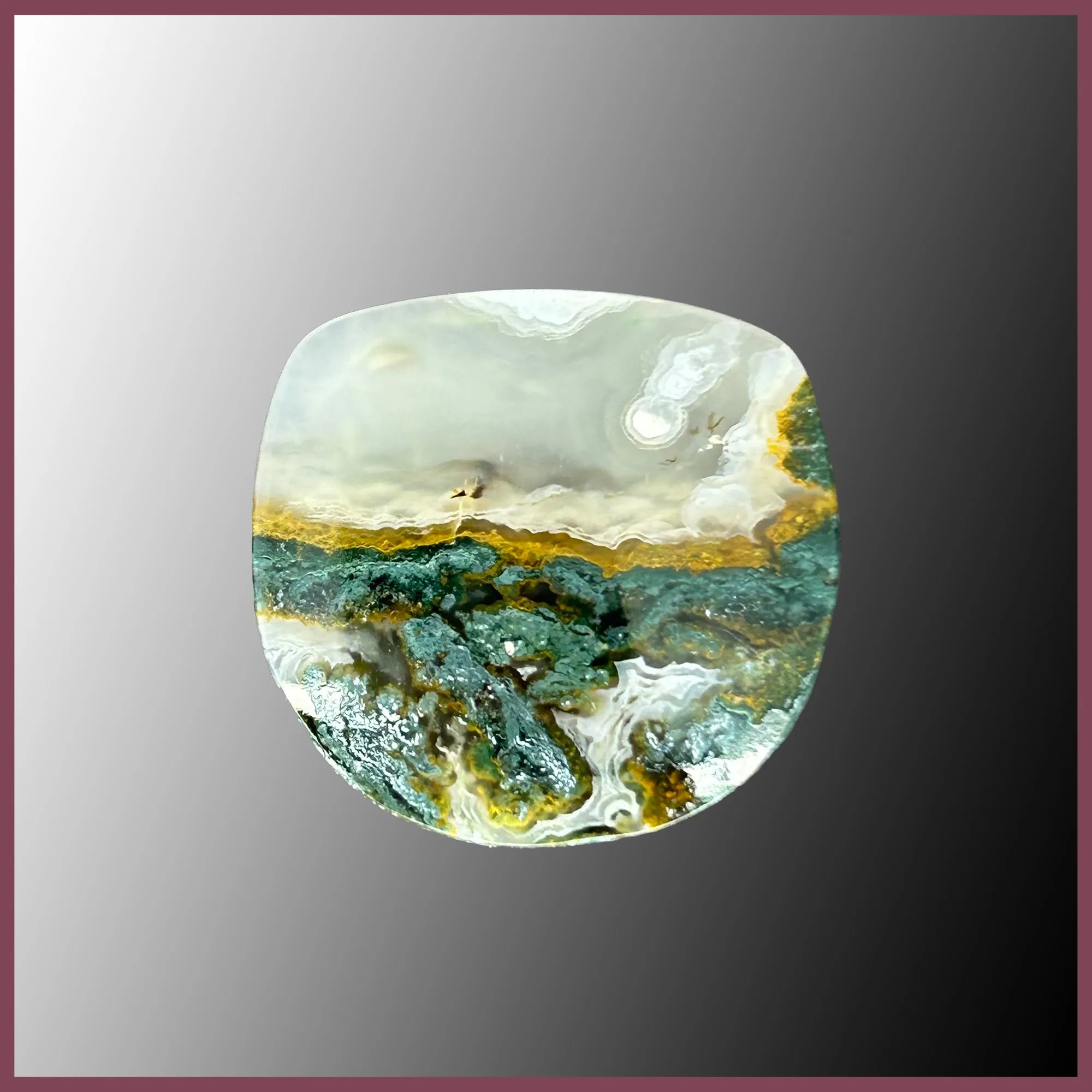 RAM129c Ramshorn Plume Cabochon